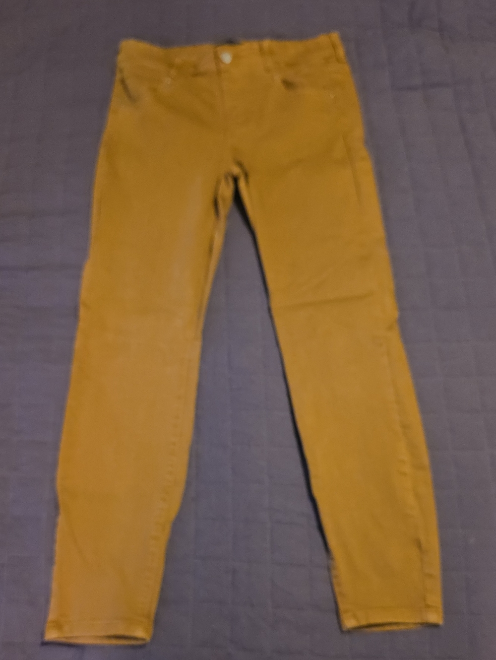 Liverpool Jeans Company Women's Skinny Jeans